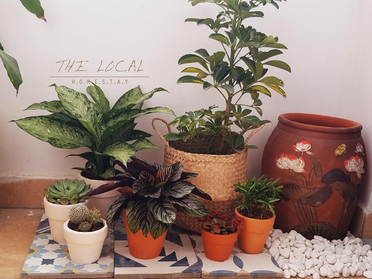 The Local Homestay Cidade de Ho Chi Minh Exterior foto