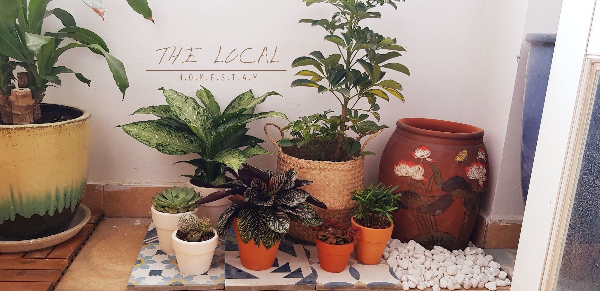 The Local Homestay Cidade de Ho Chi Minh Exterior foto